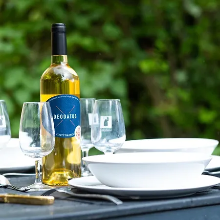 Deodatus Avec Piscine *