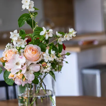 Deodatus Avec Piscine Cladech