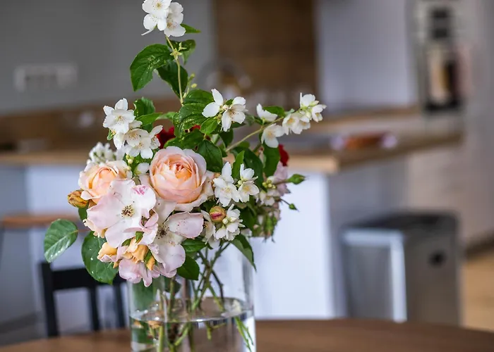 Deodatus Avec Piscine Cladech